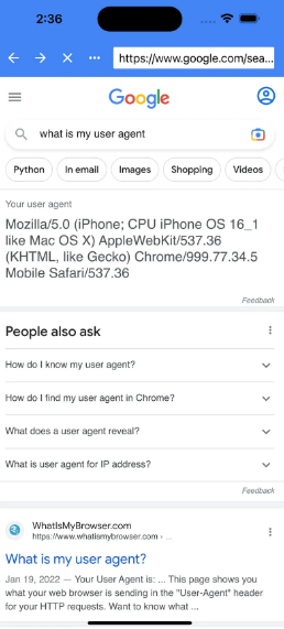 新iOS版谷歌chrome浏览器将采用Blink引擎5