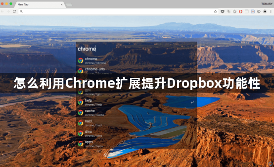 怎么利用Chrome扩展提升Dropbox功能性1